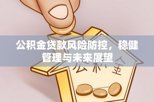 城固公积金贷款风险防控，稳健管理与未来展望