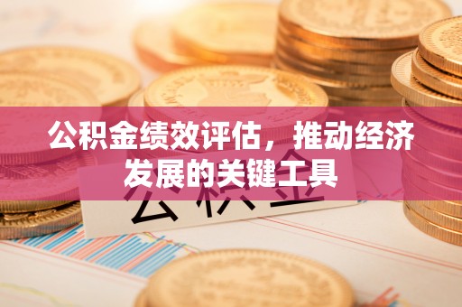 城固公积金绩效评估，推动经济发展的关键工具