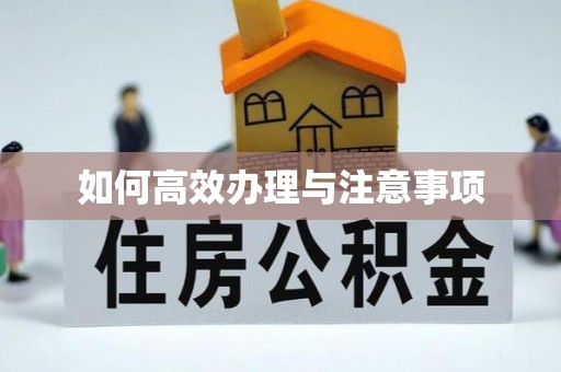 城固如何高效办理与注意事项