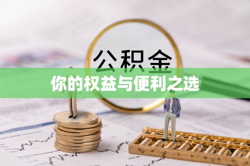城固你的权益与便利之选
