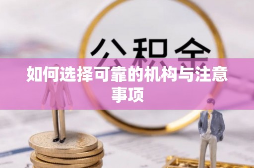 城固如何选择可靠的机构与注意事项