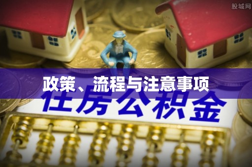 城固政策、流程与注意事项