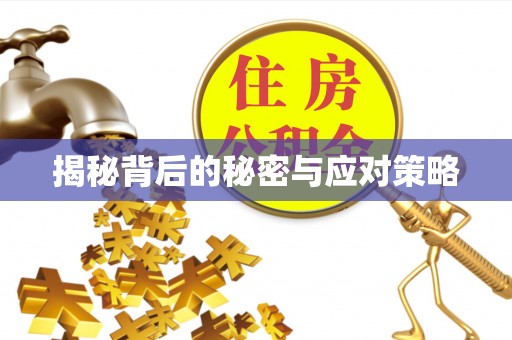 城固揭秘背后的秘密与应对策略