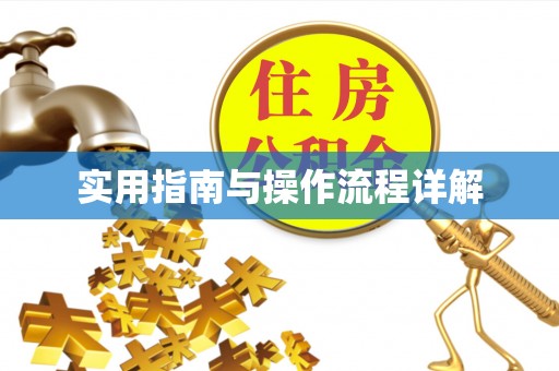 城固实用指南与操作流程详解