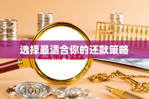 城固选择最适合你的还款策略