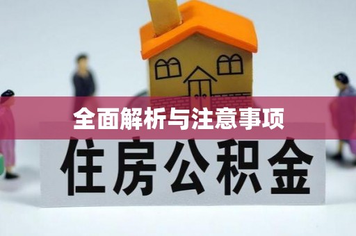城固全面解析与注意事项